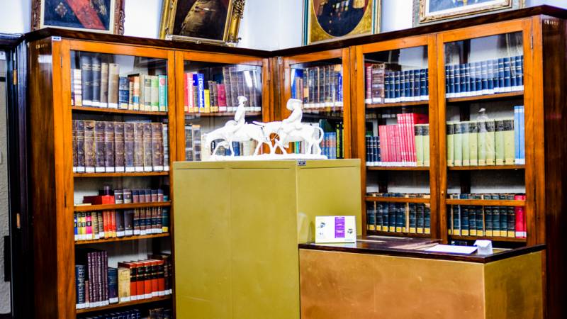 53092167695 3550497094 O